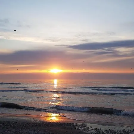 Yellow Mamaia Nord * Năvodari