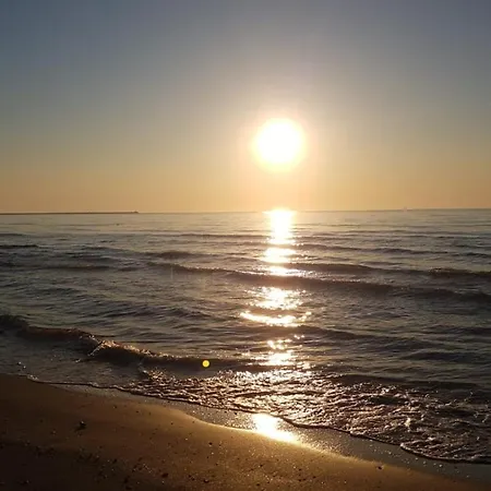 Yellow Mamaia Nord Năvodari